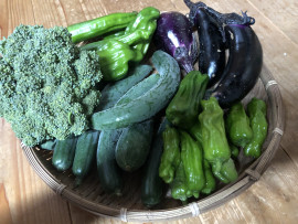 夏野菜