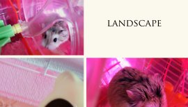 ∞ぁゅ∞ちゃんの2016/9/26 (月) 21:14のブログ