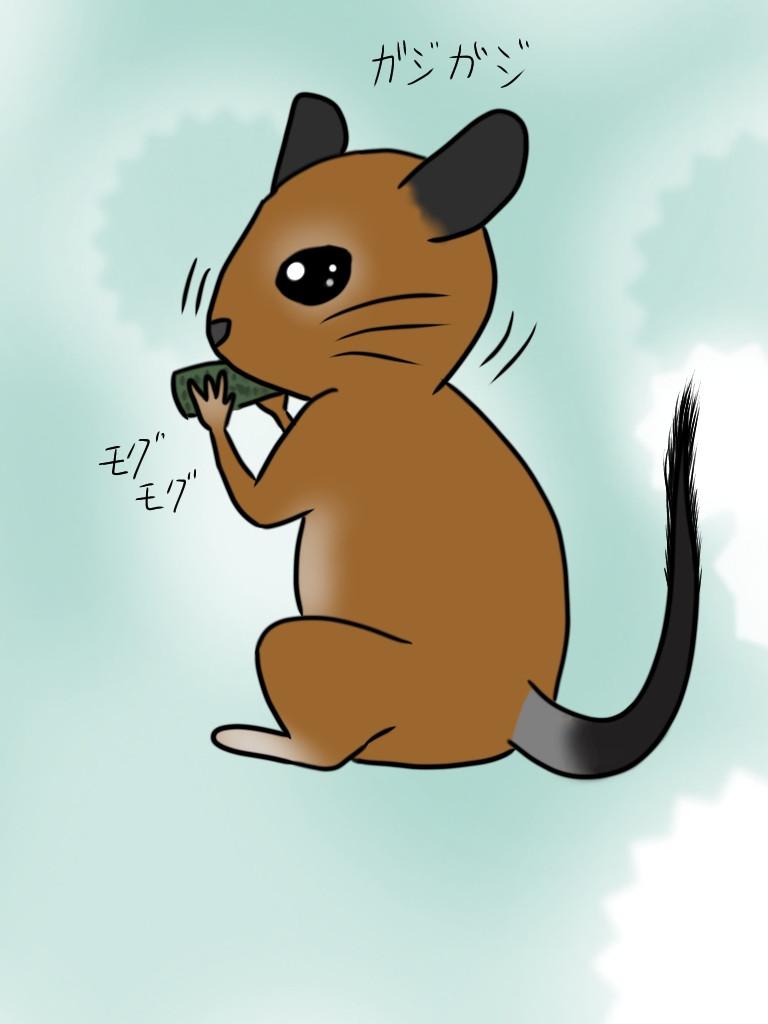 ありがとうございます♪