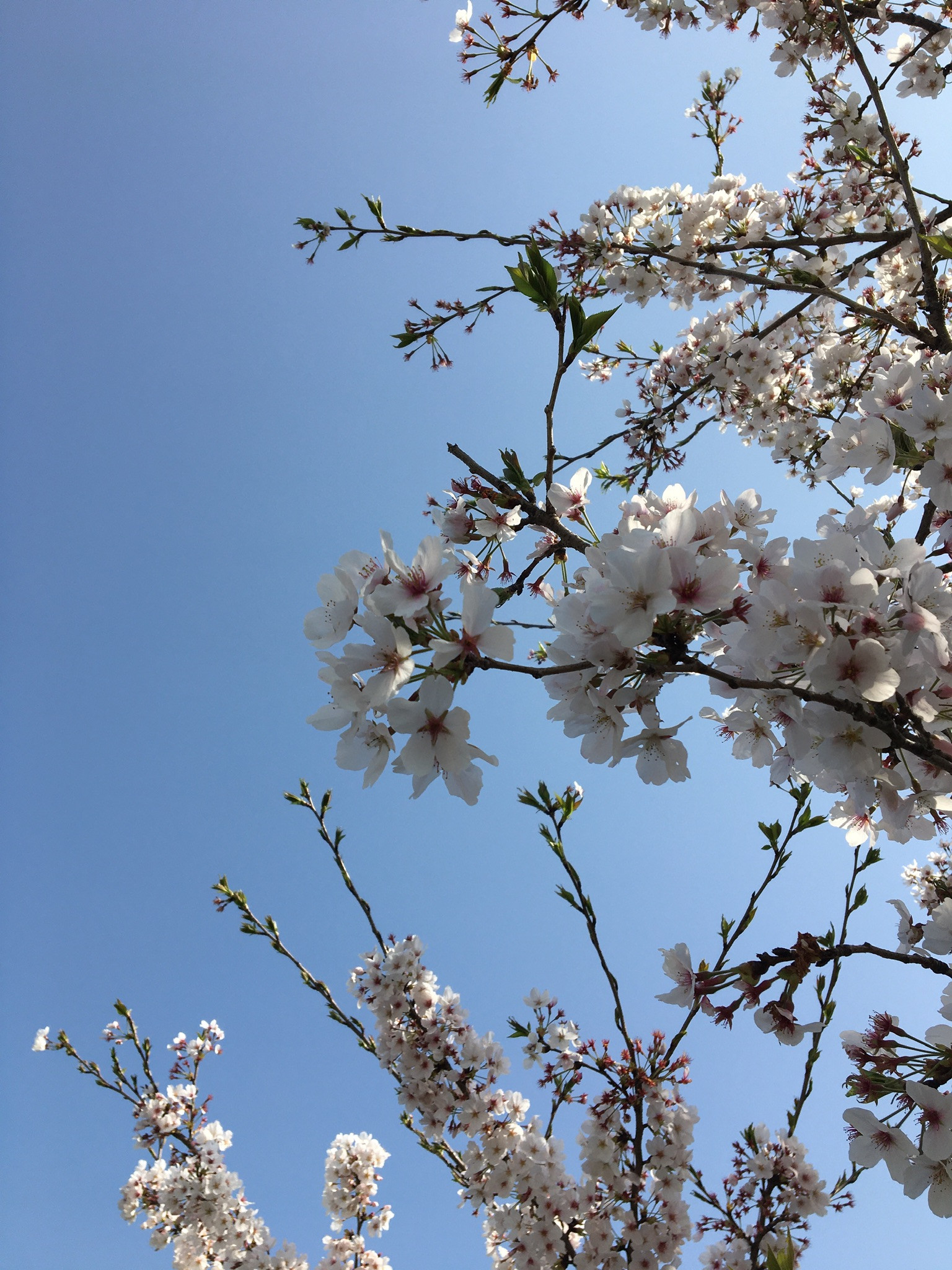 初☆ブログ投稿です！！