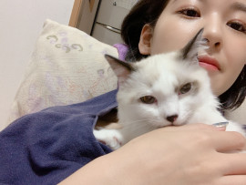 ももなちゃんの2020/7/13 (月) 01:18のブログ