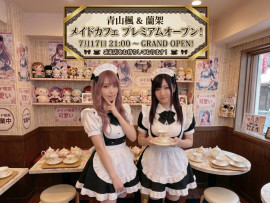 ?メイドDS?