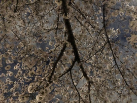 急上昇中ちゃんの2020/4/13 (月) 13:05のブログ