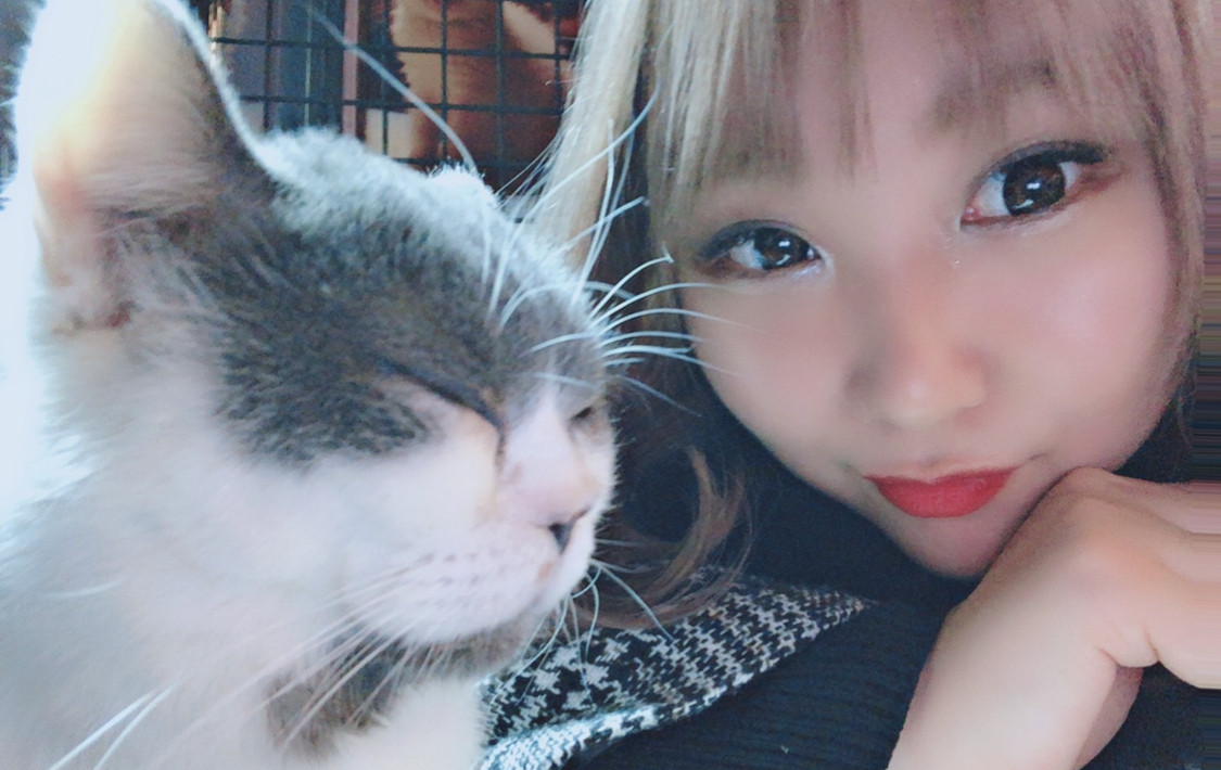 癒しが欲しいぞ...