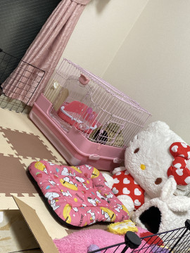 お久しぶりです！