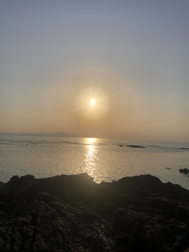 りおちゃんの2020/5/25 (月) 08:53のブログ