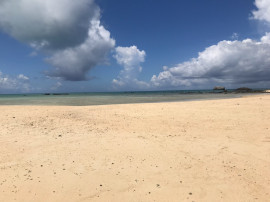 りおちゃんの2020/5/7 (木) 23:50のブログ