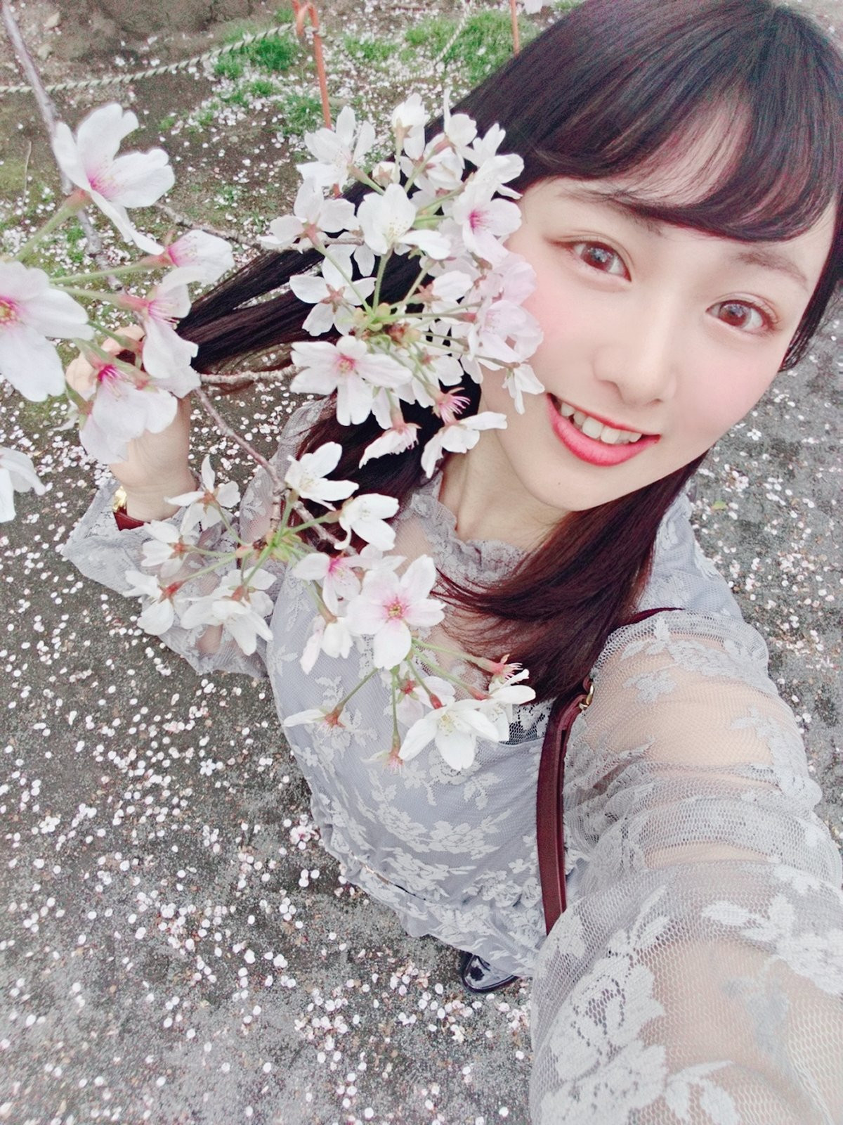 ログインについて