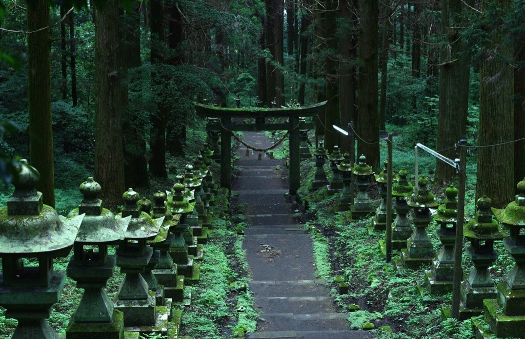 苔生す神社 。