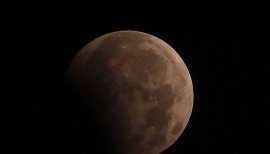 うりぼうちゃんの2017/8/9 (水) 03:15のブログ