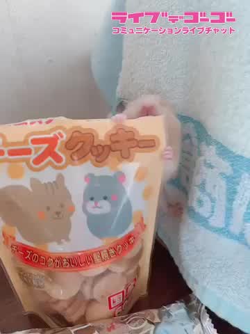 暑すぎですね?
