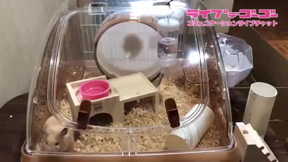 良い天気ですね！
