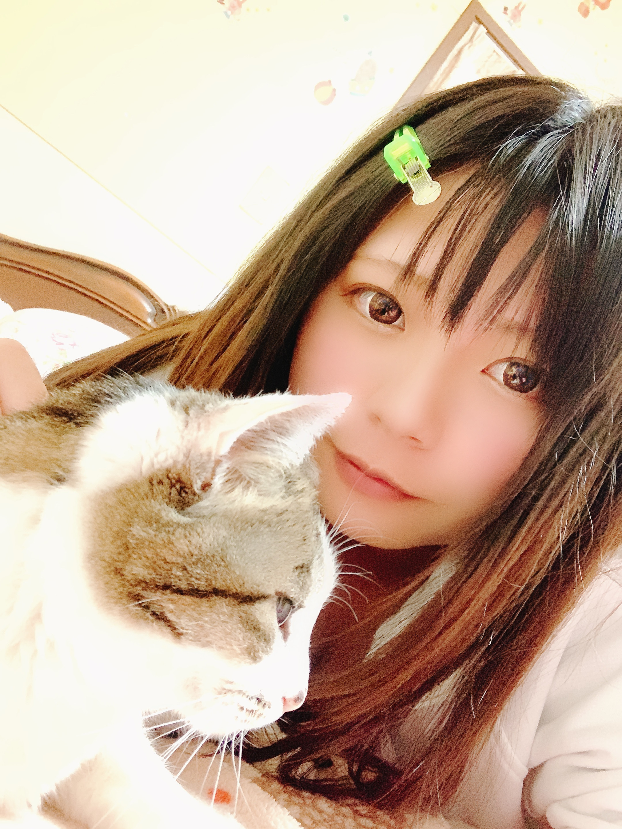 初投稿です(  ´?ω?`  )