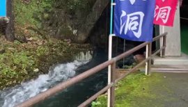 はるみちゃんの2020/9/17 (木) 11:51のブログ