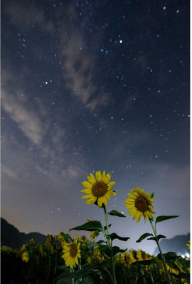 みあちゃんの2020/8/8 (土) 22:49のブログ