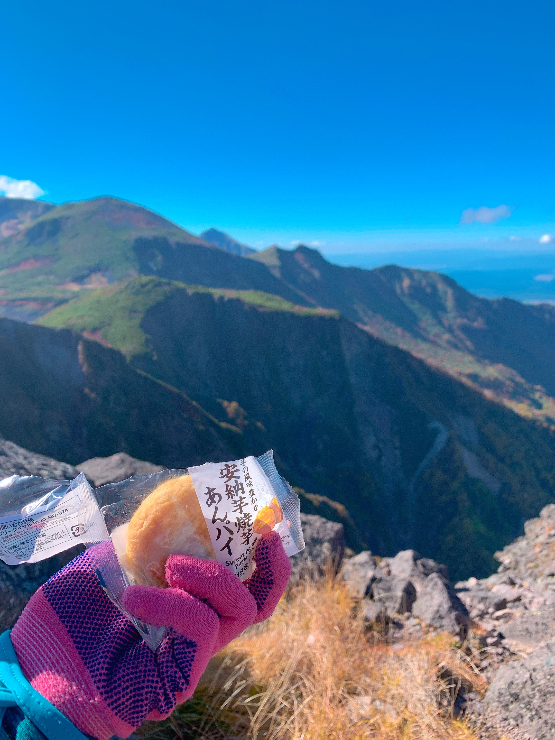 登山のオトモは