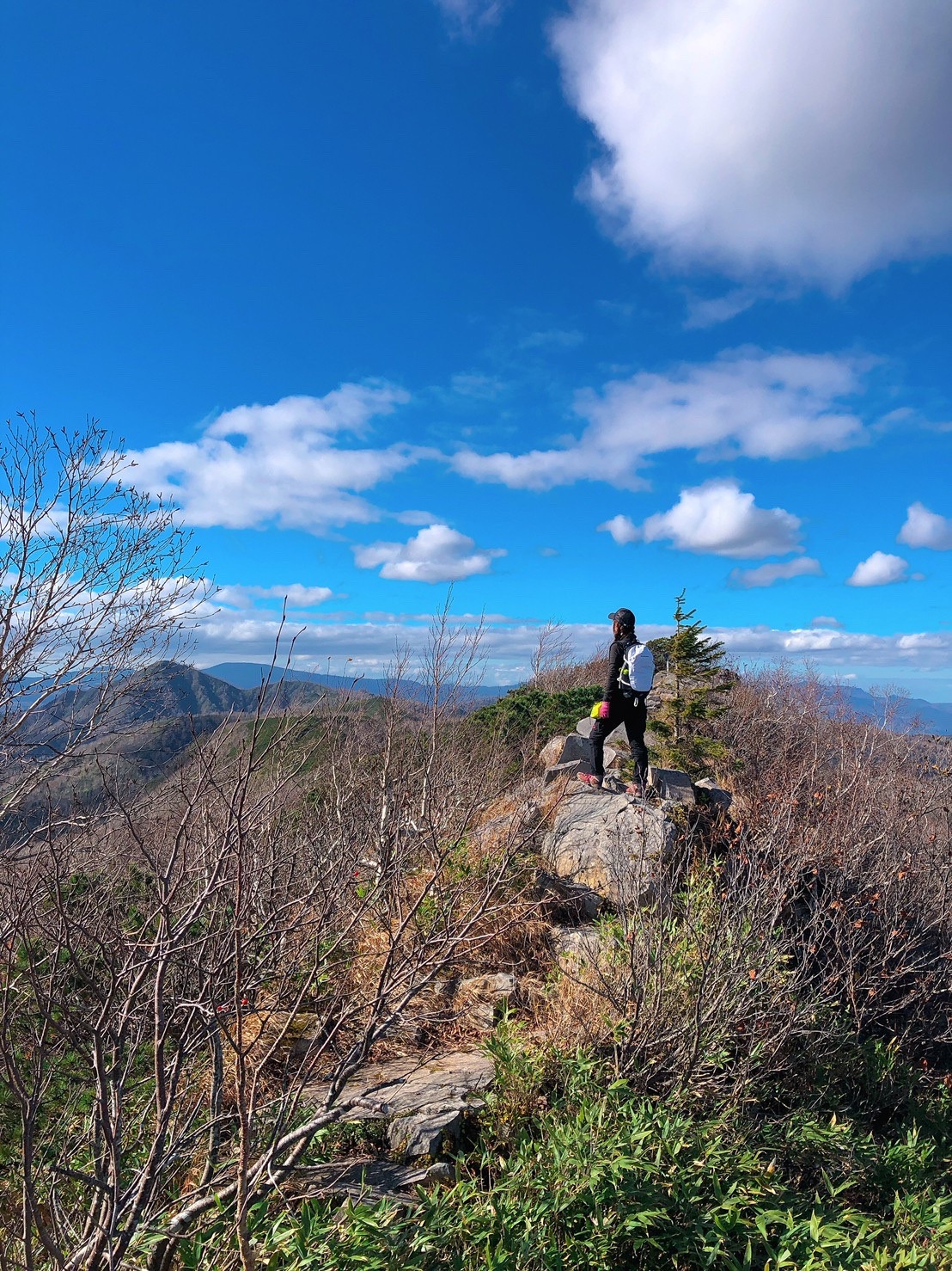 おやすみりんこ！