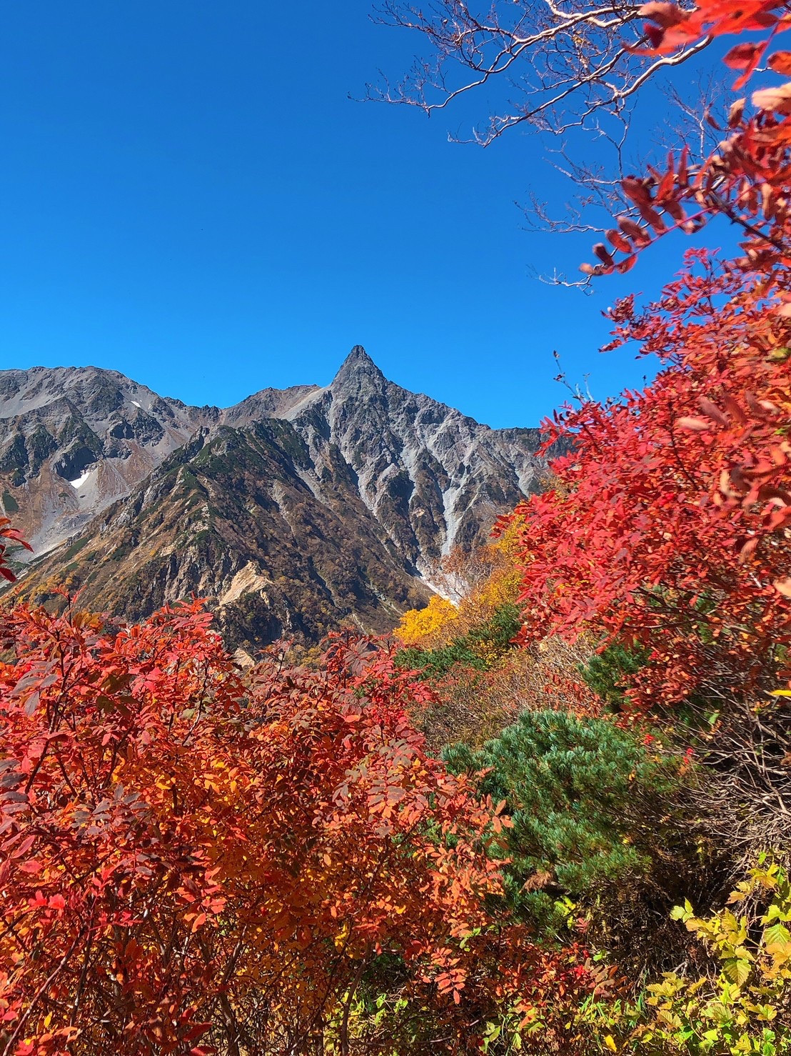 今日も22時からいるよーん！