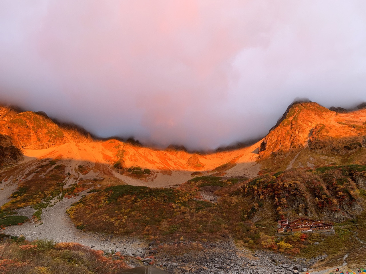 帰ってきたっぴー