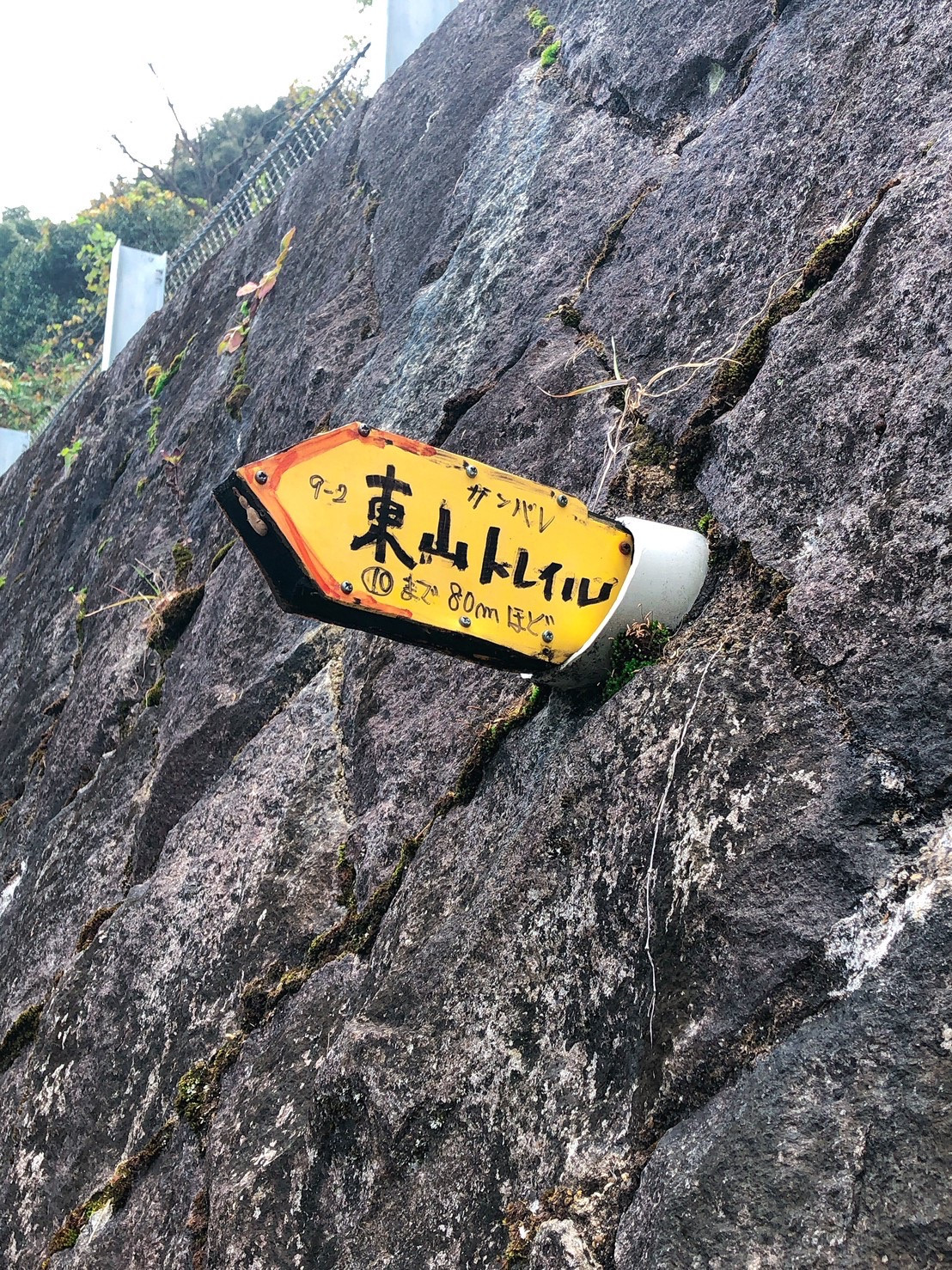 今日は50%OFFだよーん！