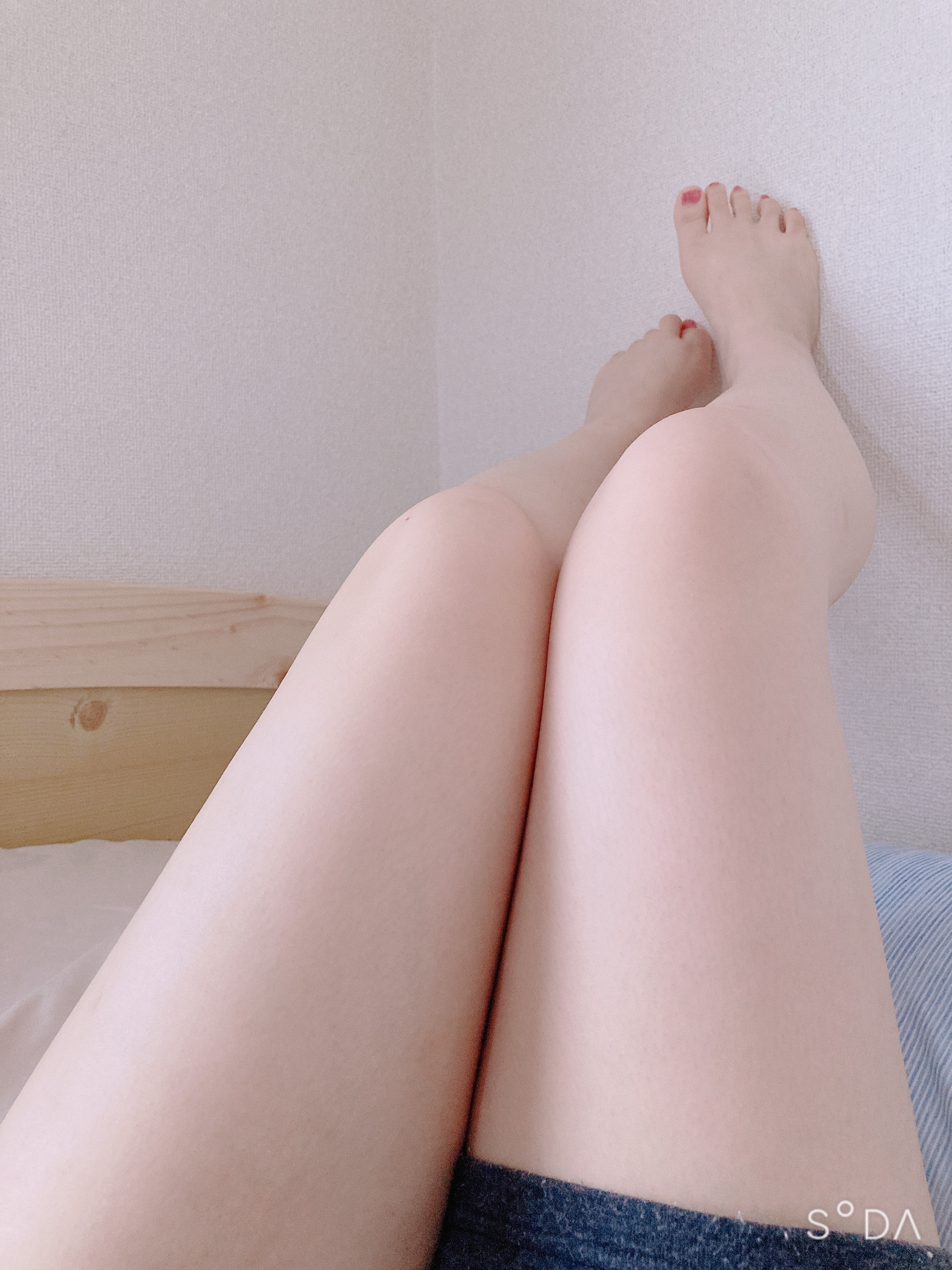 圧巻の迫力