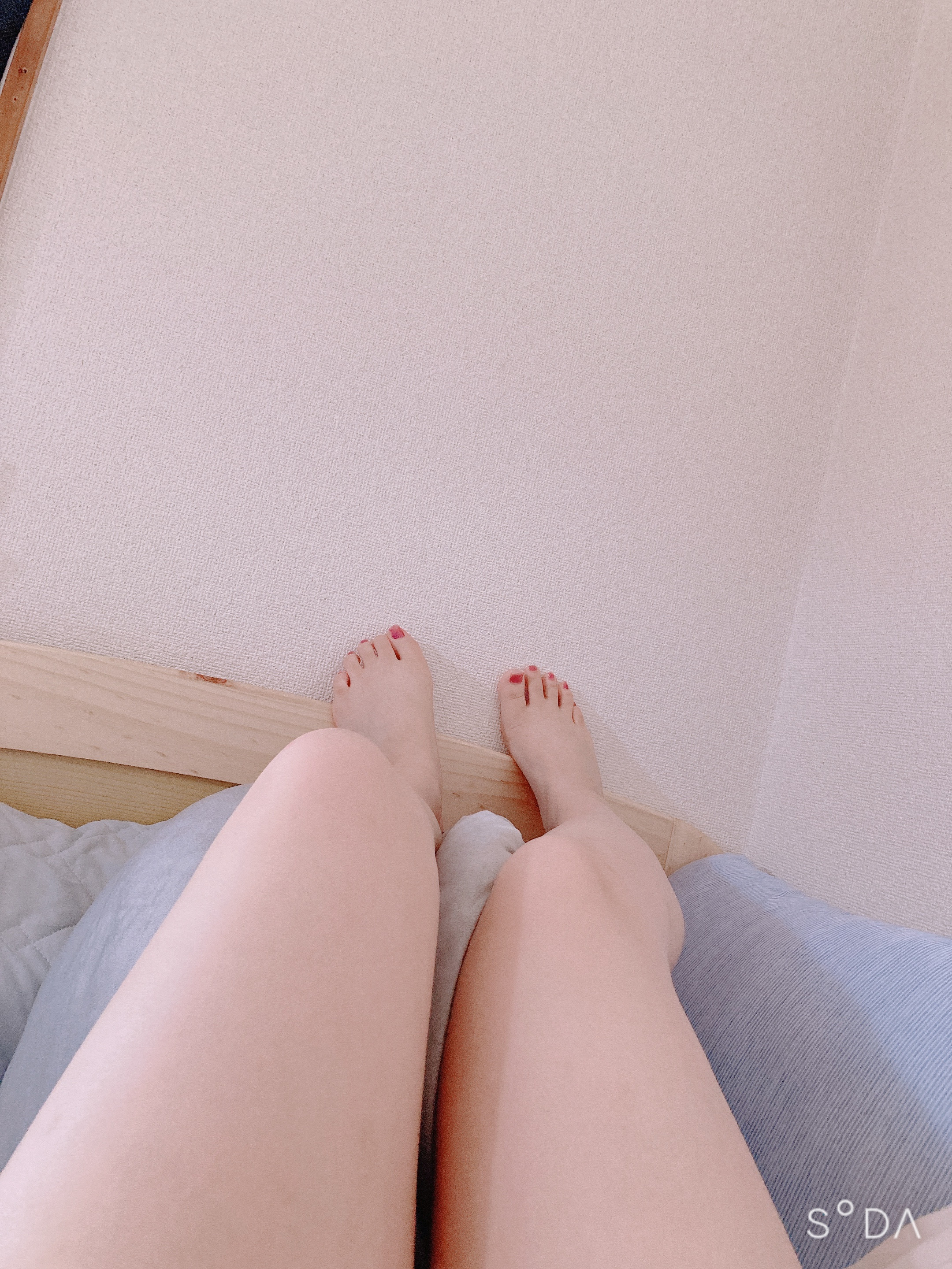 むち