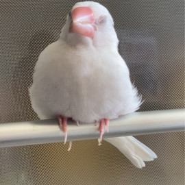みいな*の日記