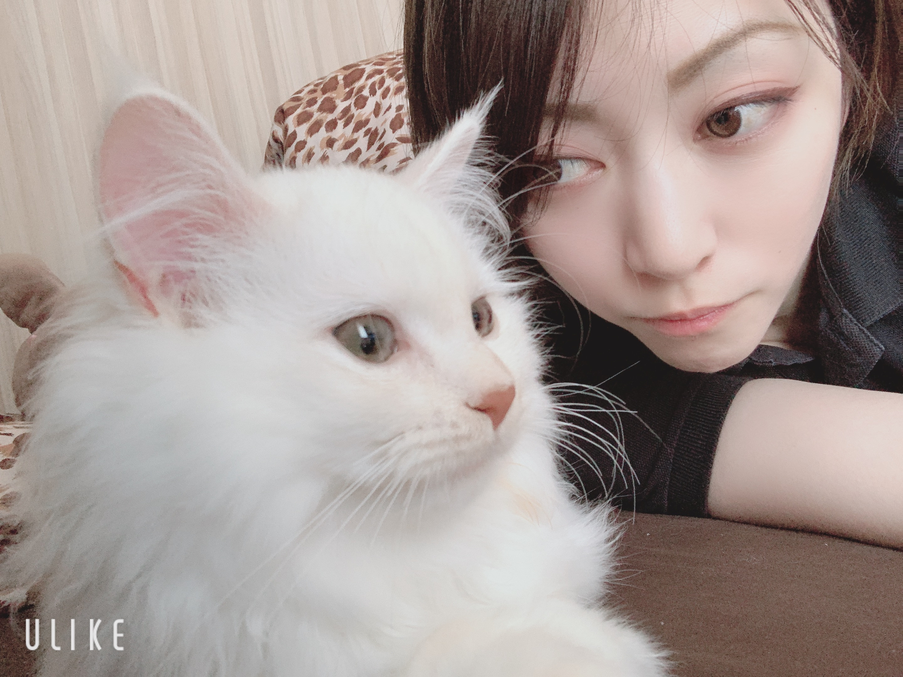ちはるちゃんの2020/7/31 (金) 17:24のブログ
