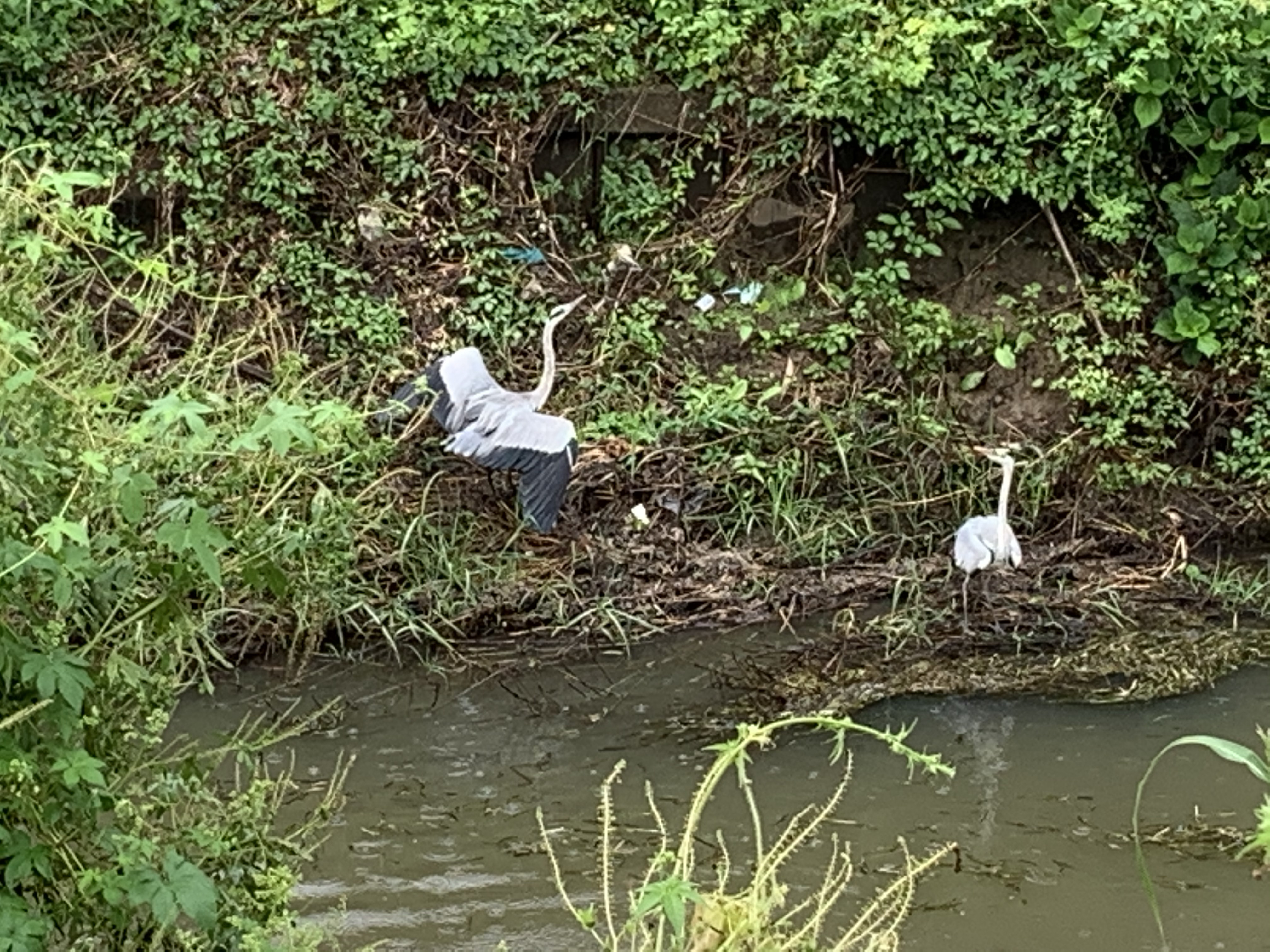 とってもお久しぶりです！