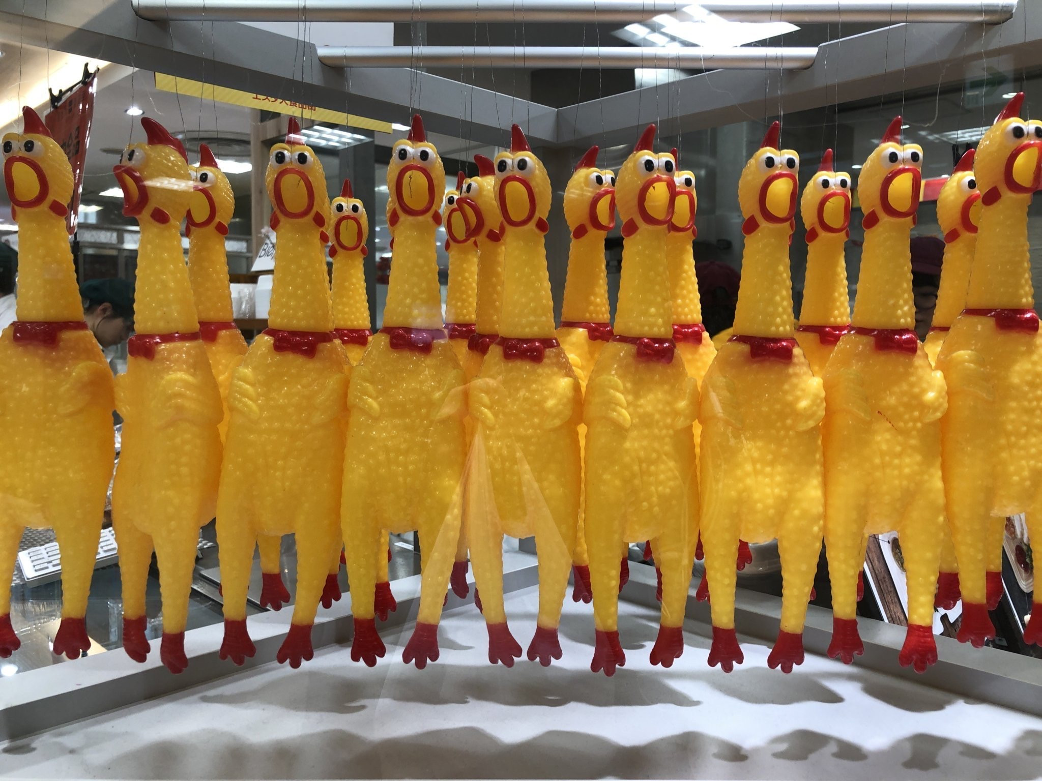 明日に変更＞＜