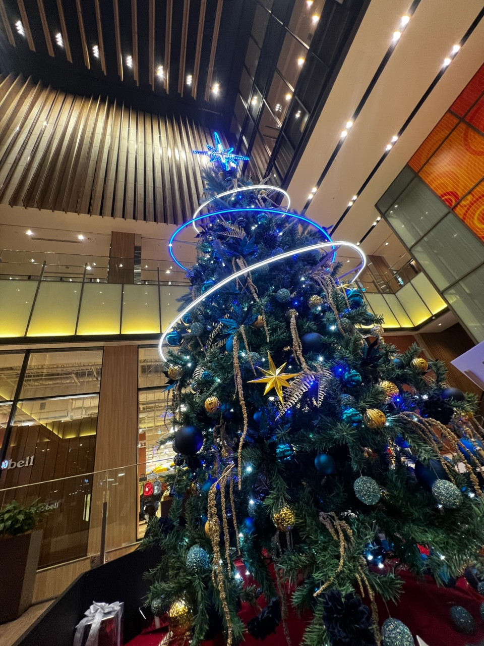 今週のイン予定