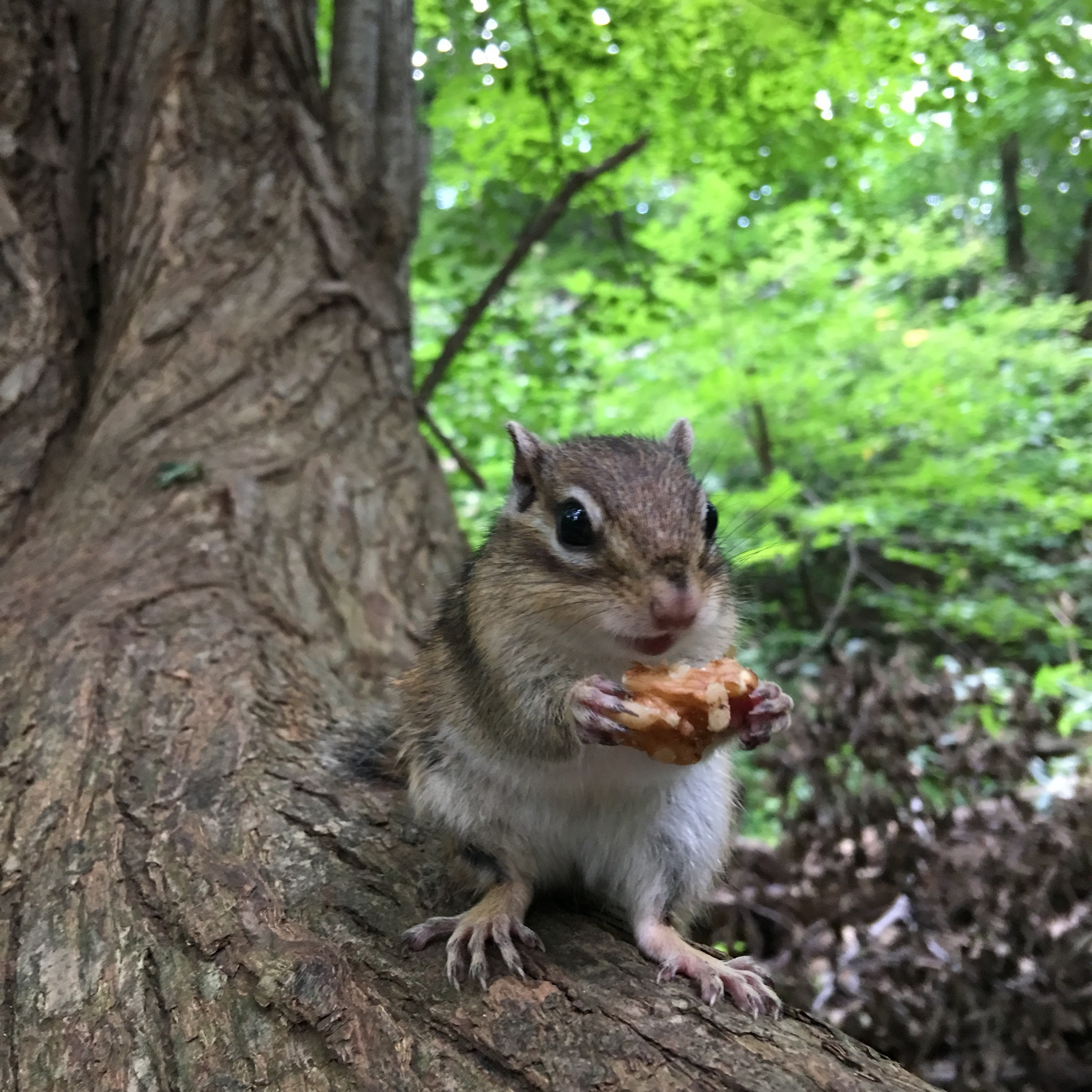 私のカメラの先生です。
