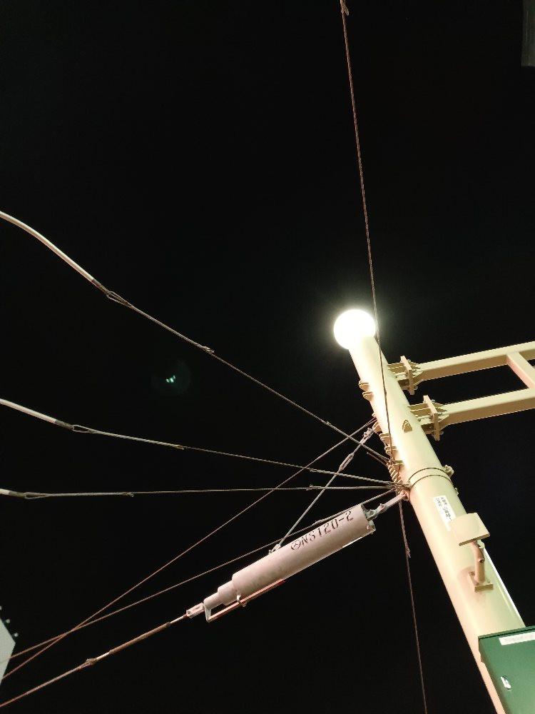 無理になりました(T_T)