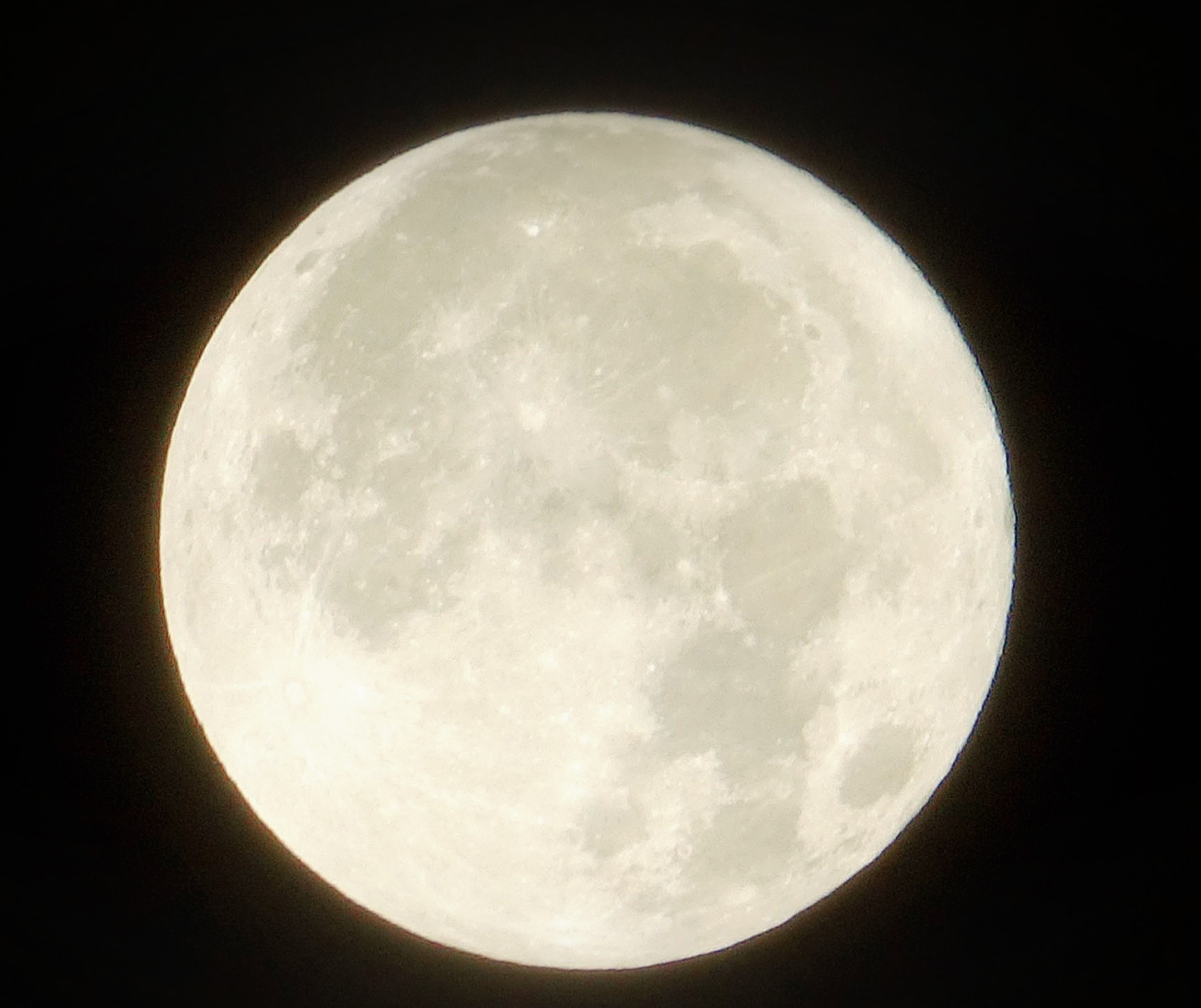 今週のイン予定は