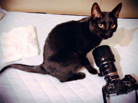 カメラ小僧の歴史が