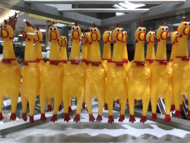 明日に変更＞＜