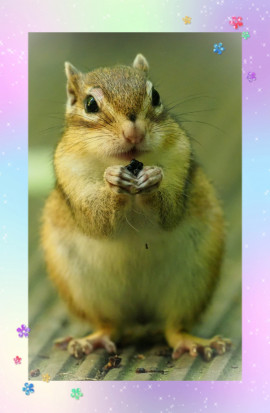 ＋あかね＋。ちゃんの2022/12/1 (木) 20:03のブログ