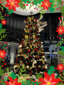 ＋あかね＋。ちゃんの2022/12/24 (土) 21:51のブログ