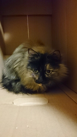 ＋あかね＋。ちゃんの2022/11/29 (火) 17:29のブログ