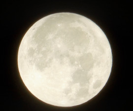 今週のイン予定は