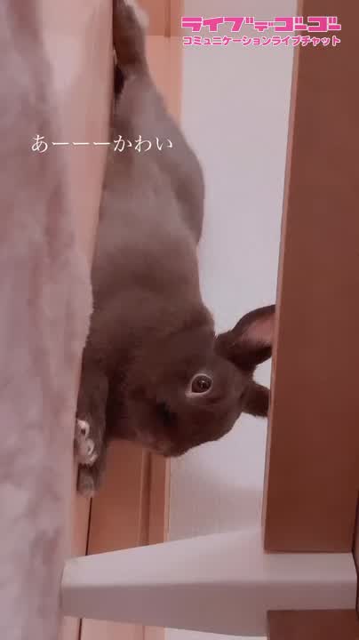 こんばんは?