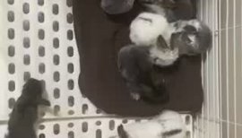 ゆき❅ちゃんの2021/1/29 (金) 00:00のブログ