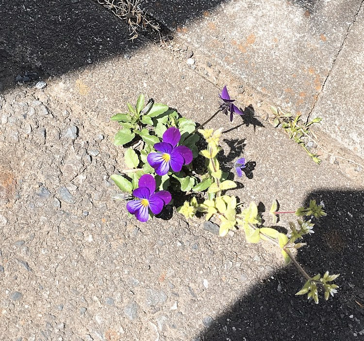 おはようございます。