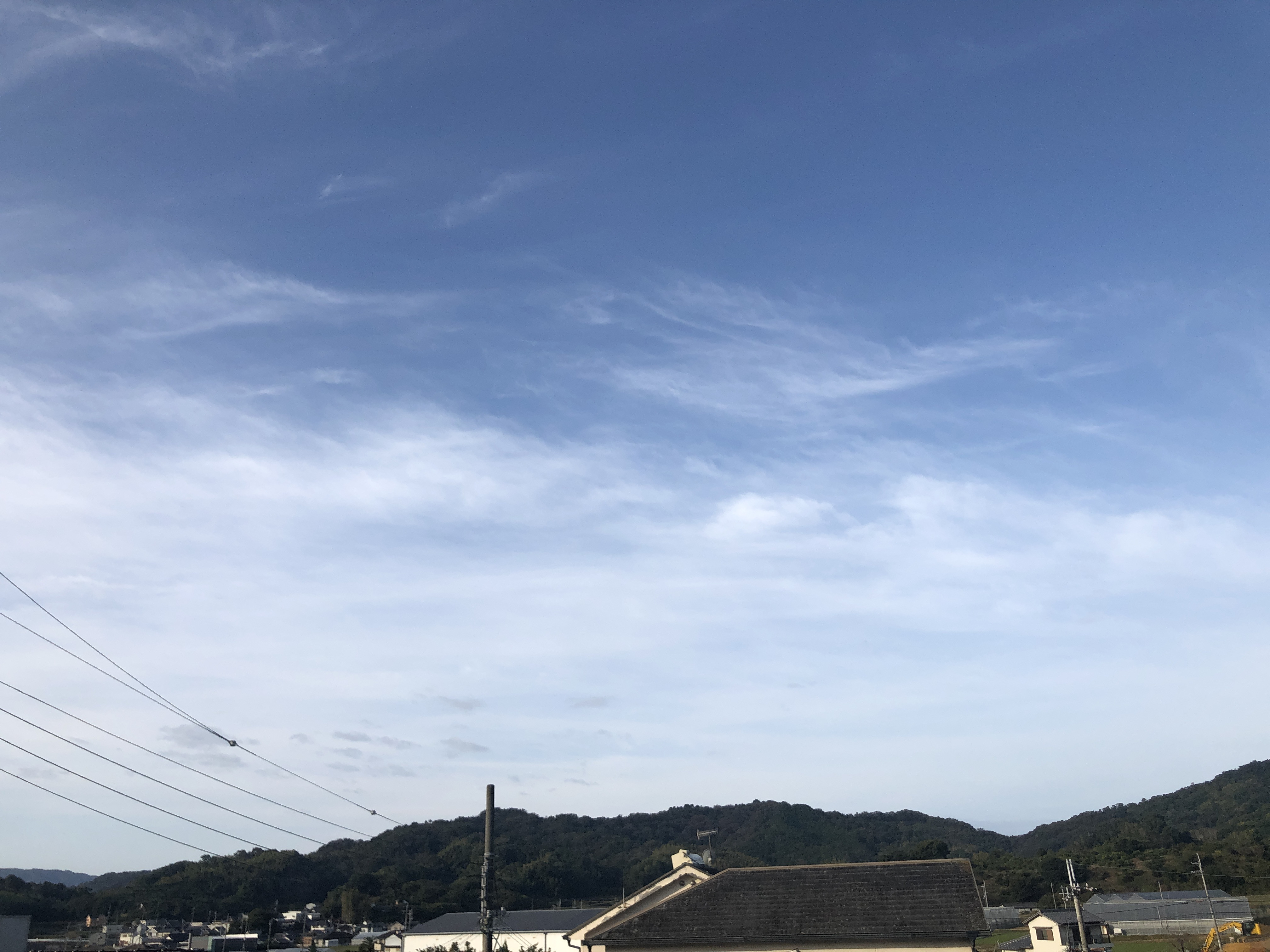 tomoちゃんの2020/11/1 (日) 08:00のブログ