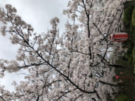 つらいー