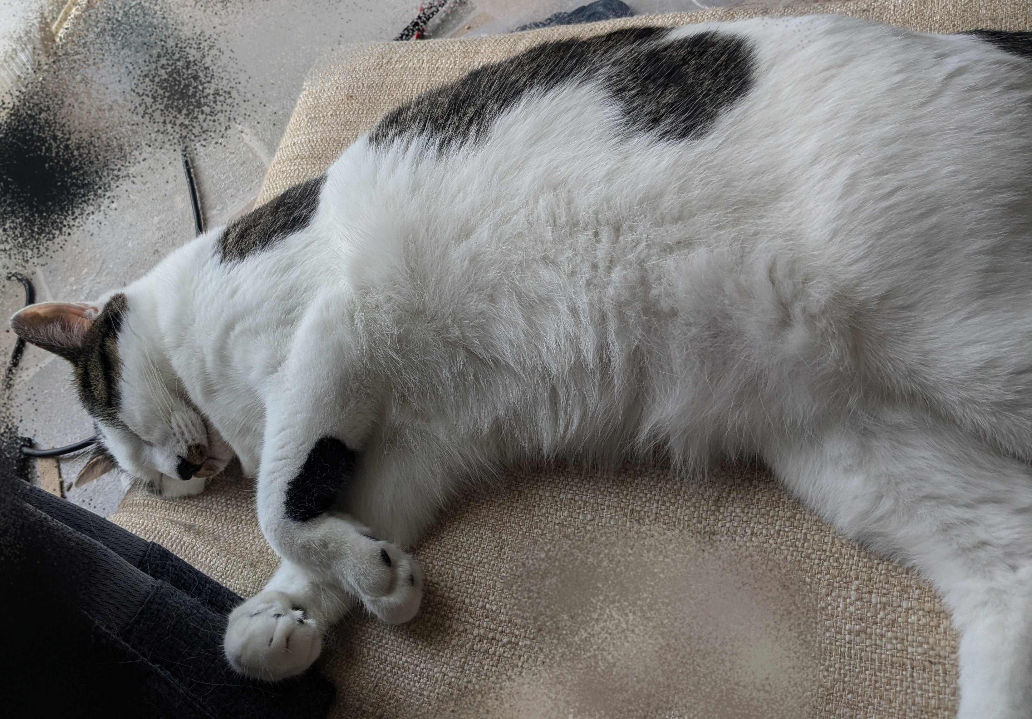 夜のお仕事お休みすることにしました