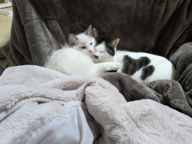 ほっぺちゃんの4/28 (月) 12:39のブログ