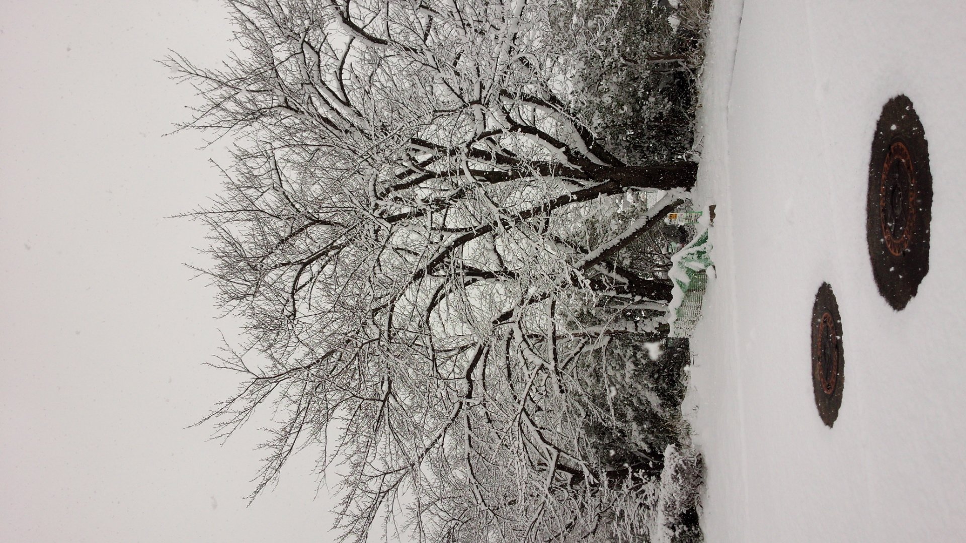 なのんちゃんの2014/12/18 (木) 20:49のブログ