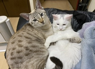 初めてのブログ