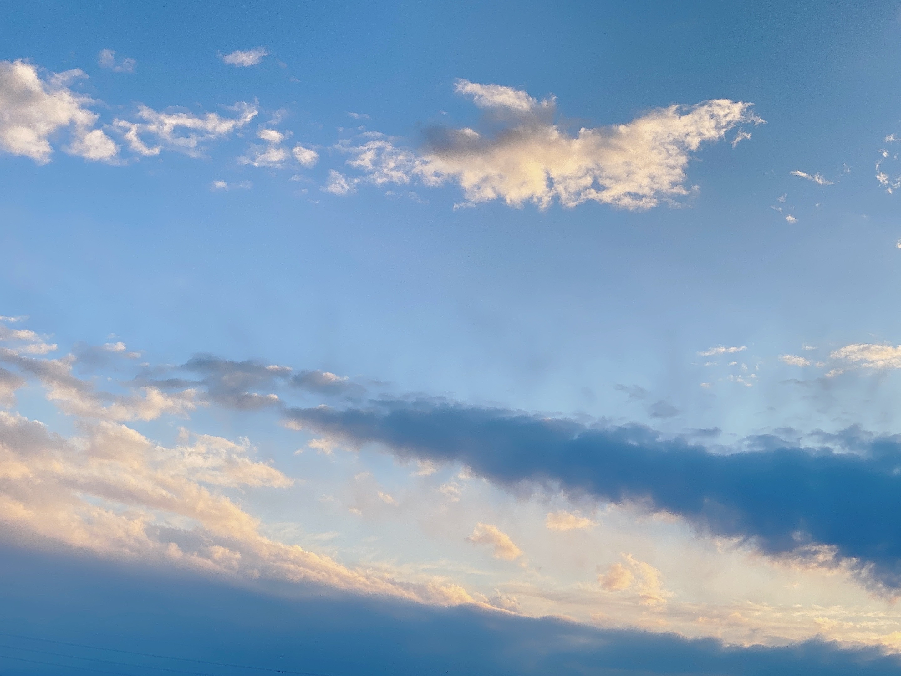 お久しぶりです♪